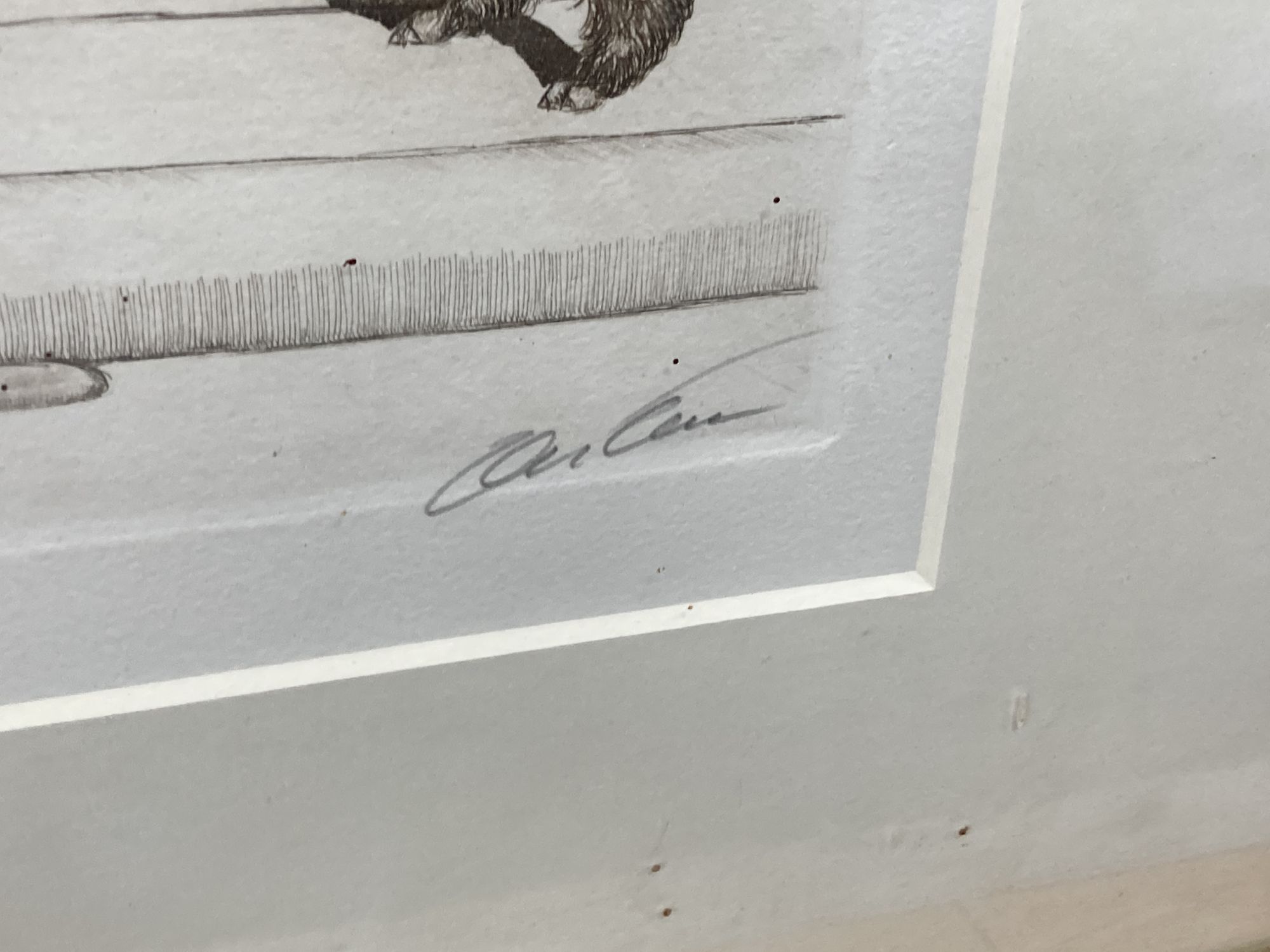 French School, two coloured etchings, caricatures of cats and dogs, one titled Profanateur the other Oh! Liboute Cherie!, 21 x 49cm, fr